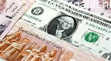 تحديث بنك البركة.. سعر صرف الدولار مقابل الجنيه في تعاملات الإثنين بمنتصف يناير